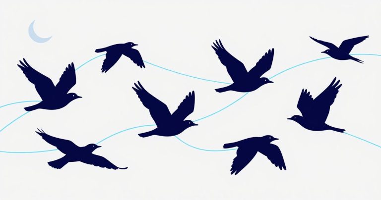 rêver de beaucoup d’oiseaux: sens, islam et science