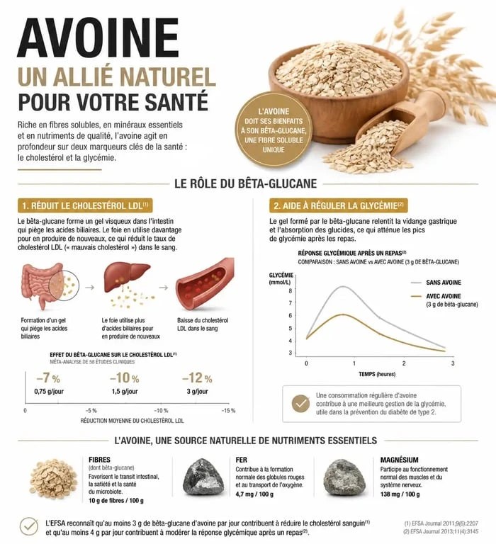 Infographie des bienfaits de l'avoine sur la santé et le métabolisme